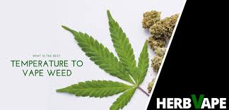 Depending on what you are using, the best temp for vaping would also vary. What Is The Best Temperature To Vape Weed Herbvape