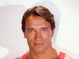 With an almost unpronounceable surname and a thick austrian accent, who would have ever believed that a brash, quick talking bodybuilder from a small. Young Arnold Schwarzenegger Face 2560x1920 Wallpaper Teahub Io