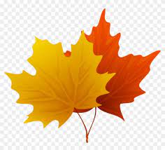 Download Fall Maple Leaves Png Decorative Clipart Png Maple Leaves Clip Art Transparent Png 850x730 86315 Pngfind Autumn falling leaves pattern on transparent background.
