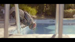 16 december 2020 513 members. Mandibules Teaser Trailer A Giant Fly Drinks From A Pool In This Glimpse Of Quentin Dupieux S Weird Venice Bound Film