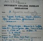 Image result for Trichopteryx marungensis