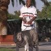 Mike tyson's life is full of crazy stories and what happened to his tiger, kenya, is just one of them. Https Encrypted Tbn0 Gstatic Com Images Q Tbn And9gctnku0eshillybnzxfjsb91lwye98c2xey4jwc5pviopmlsseus Usqp Cau