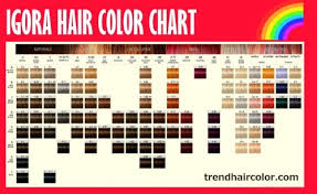 Schwarzkopf Hair Color Chart Igora Sbiroregon Org