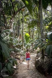 Nee, dit keer verkopen de brochures geen onzin. Pin On Seychelles Travel Inspiration