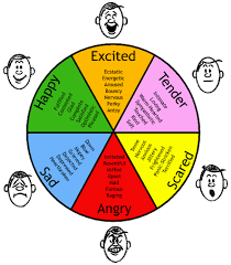 control emotions to enjoy life emotions wheel feelings