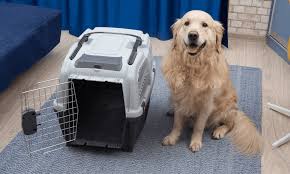 Pet Transport For Moving A Pet Interstate | Pet Angel