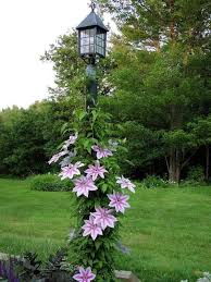 Just Between You And Me And The Lamp Post Garten Garten Bepflanzen Garten Pflanzen