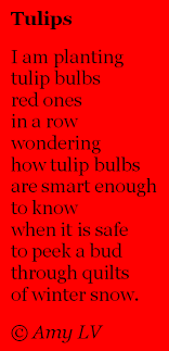 Flowers are a perennial theme of poetry. The Poem Farm Tulips Know Today Brings Spring 354 Poems Reading Poems Shared Reading Poems