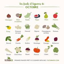 Site Search Discovery Powered By Ai Fruits Et Legumes Fruits Et Legumes De Saison Chou Pomme