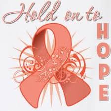 We carry peach awareness ribbon shirts and gifts to make your cause known. 13 Uterinecancer Ideas Uterine Cancer Awareness Uterine Cancer Cancer