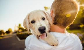 اصوات الكلاب ومعناها 8211 تفسير تصرفات الكلاب وكيف اتكلم مع الكلاب Happy Dogs Best Dog Breeds Cheap Puppies