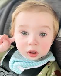 Peterborough Live Edge Creations