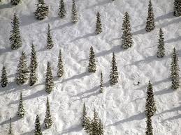 Winter In The U S Photos National Geographic Ski Town Colorado Skiing Best Skis