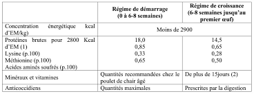 Alimentation Et Besoins Alimentaires De La Poule Pondeuse Agronomie