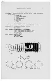 Earthworms of Arkansas
