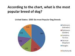 Ppt According To The Chart What Is The Most Popular Breed