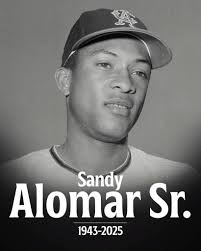 Biography of Robbie Alomar, former White Sox second baseman