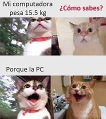 Humor Chistes Chiste Risas Memes Risasinmas Memes De Animales Divertidos Memes De Perros Chistosos Mascotas Memes