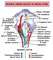 Pin Em Therapy Ideas