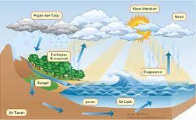 Dalam hal ini air daur air dikenal juga dengan istilah siklus hidrologi yang artinya adalah sirkulasi air dari atmosfer menuju dampak kegiatan manusia terhadap perubahan siklus air yang memicu kelangkaan air dunia. Buatlah Poster Tentang Dampak Siklus Air Bagi Kehidupan Gambar Yang Mudah Aja Yatolong Ya Brainly Co Id