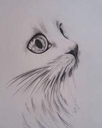 Pin By Vi On Mine Cats Art Drawing Cat Art Illustration Cat Art