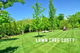 Every company is different, but the average lawn care cost in bucks and montgomery county should run you around $75 to $90 per service for a 10,000 square foot lawn. Xrc36ohfie3z6m