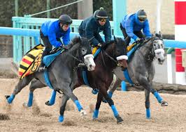 カレンブーケドール 3歳時に スイートピーステークス （ リステッド ）で2勝目を挙げて以降、 優駿牝馬 ・ 秋華賞 ・ ジャパンカップ とg1で3度の2着を含めて、重賞で2着6回・3着1回の好成績を残すも勝ちきれずシルバーコレクターと称される 。 äº¬éƒ½è¨˜å¿µ ã‚«ãƒ¬ãƒ³ãƒ–ãƒ¼ã‚±ãƒ‰ãƒ¼ãƒ«ã¯æ…‹å‹¢ä¸‡å…¨ ãƒ‰ãƒã‚¤é å¾å‰ã«é‡è³žåˆï½–ã¸ ç«¶é¦¬ãƒ‹ãƒ¥ãƒ¼ã‚¹ Netkeiba Com