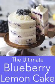 This Lemon Blueberry Cake From Preppy Kitchen Is Bursting With Beautiful Natural Flavors And Blueberry Cake Recipes Delicious Cake Recipes Dessert Cake Recipes