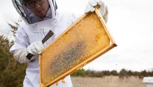 Missouri Southern State University