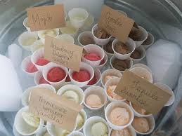 How To Keep Ice Cream Frozen At An Outdoor Party Ice Cream Birthday Party Ice Cream Party Sundae Party