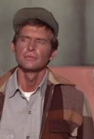 Green Acres" Eb's Double Trouble (TV Episode 1970)