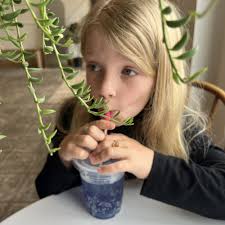 THE BEST 10 CANDLE STORES near OTTUMWA, IA