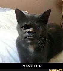 Im Back Bois Ifunny Funny Images Funny Meme Pictures Funny Memes