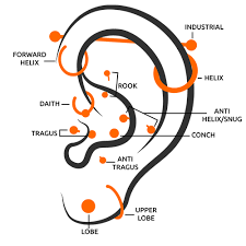With all the factors put together, the average cost of an earlobe piercing at a body piercing studio is about $40 to $60 with the jewelry. Ear Piercings Piercing Mania