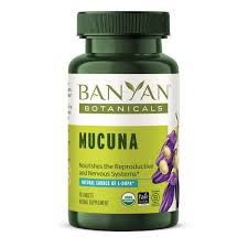 Image result for Mucuna pruriens