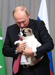 Vladimir putin, current president of russia, owns four dogs, who live at his residence in moscow. Pets Of Vladimir Putin Wikipedia