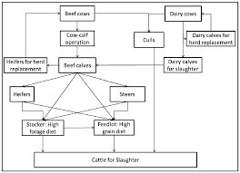 30 Unexpected Cow Processing Chart