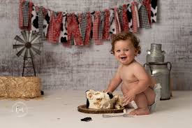 Little Boy Farm Themed Cake Smash Lauren Mccormick Photography