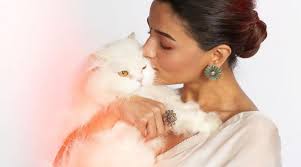 Alia Bhatt shares a sneak peek of her living room, pet cat Edward steals  the show