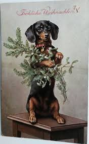 Black And Tan Reverse Dapple Dachshund Vintage Postcard Dachshund Christmas Tree Branch 2 By Reichert Dachshund Christmas Vintage Dachshund Vintage Dog