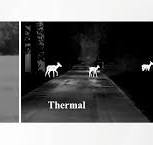 Tech Insights: Thermal Vision VS Digital Night Vision - Nocpix