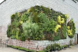 Ein Vertikaler Garten Selber Bauen Schritt Fur Schritt Anleitung In 2020 Vertikaler Garten Garten Ummauerter Garten