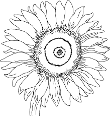We have collected 36+ sunflower coloring page images of various designs for you to color. Free Printable Sunflower Coloring Pages For Kids Sunflower Coloring Pages Sunflower Colors Mandala Coloring Pages