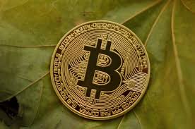 Bitcoin ile ilgili tüm sohbetler ve tartışmalar. En Unlu Bitcoin Fiyat Tahmininde Gun Geldi Catti Sonuc