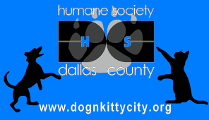 The adoption questionnaire helps our adoption counselors. Humane Society Of Dallas County Dog Kitty City Shelter Home Facebook