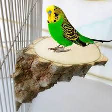 Free delivery and returns on ebay plus items for plus members. Buy Pet Platform Right Angle Wood Perch Parrot Hamster Squirrel Bird Cage Playing Stand Jumping Board At Affordable Prices Free Shipping Real Reviews With Photos Joom