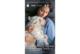We did not find results for: Fidanzata Di Manuel Locatelli Eta Vita Privata E Teddy