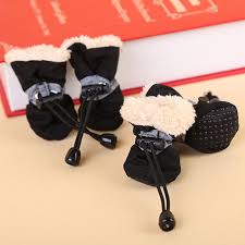 Pin On Pet Products
