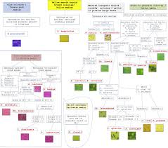 Flowchart Simplified Steps For The Identification Of Common