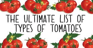 The complete guide to every type of tomato naturefresh farms. The Different Types Of Tomatoes The Ultimate Guide